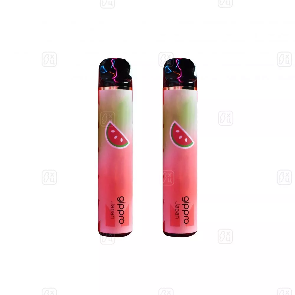 33 Gippro (1)