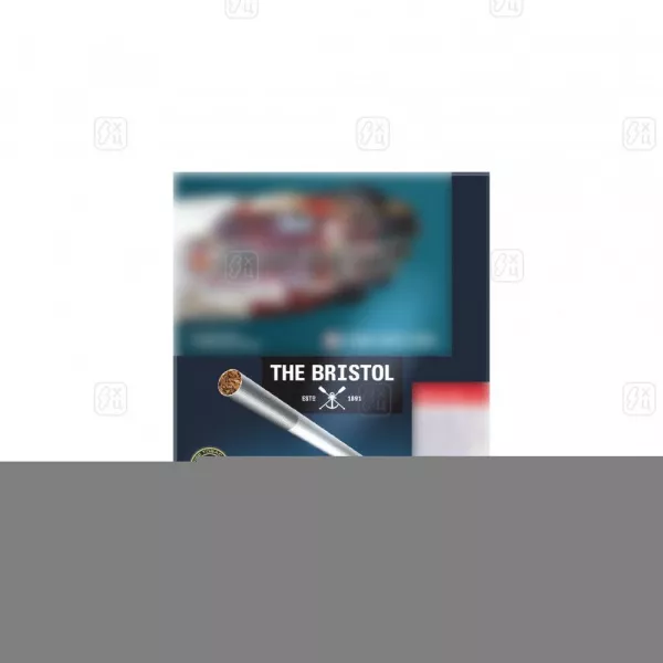 2 Папиросы The Bristol (пачка 20шт.)